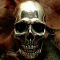 X-Large Skull RingiGNXg[W XJ Oj
