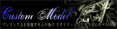 Custom Model (カスタムモデル)